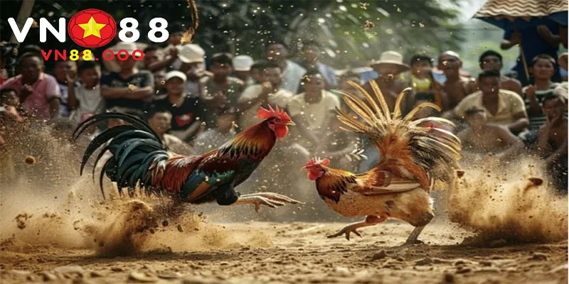 Cập nhật kinh nghiệm giành chiến thắng